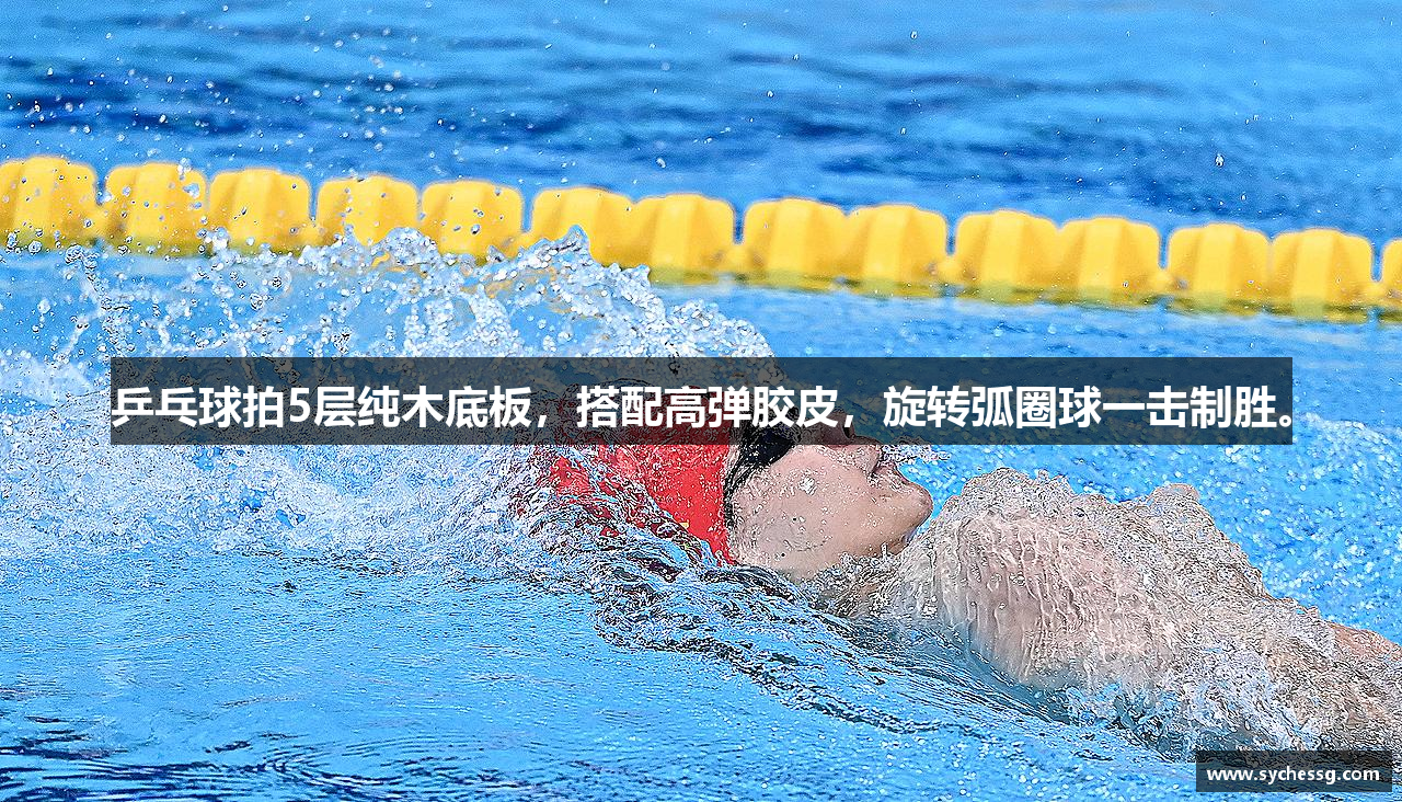 双赢app下载